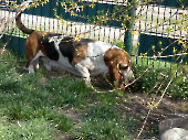 Pension_32