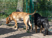 Pension_43