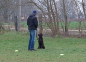 Hundetraining_21