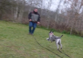 Hundetraining_29