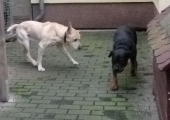 Dezember_44