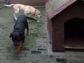 Dezember_45