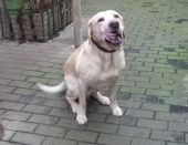 Dezember_46