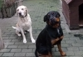 Dezember_47