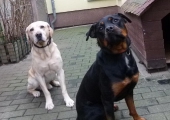 Dezember_48