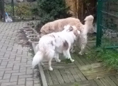 Dezember_49