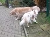 Dezember_50