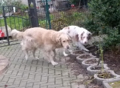 Dezember_52