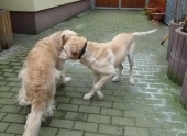 Dezember_54