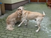 Dezember_55
