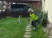 Hundepension_1