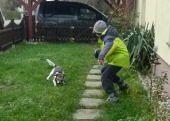 Hundepension_3