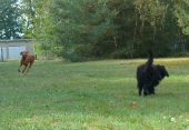 Oktober_20