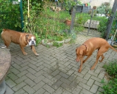 oktober_2