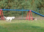 Oktober_4