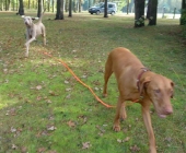 Oktober_4