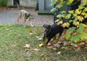 Oktober_70