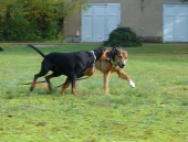 Oktober_76