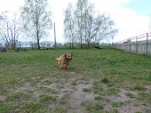 pension_24