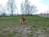 pension_25