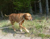 pension_26