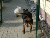 Pension_2