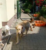 Pension_108