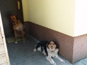 Pension_10