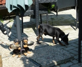 Pension_110
