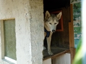 Pension_114