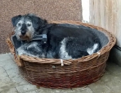 Pension_11