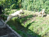 Pension_12