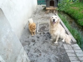 Pension_14