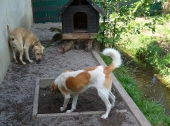 Pension_1