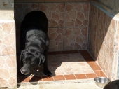 Pension_21