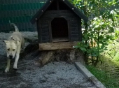 Pension_21