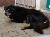 Pension_23