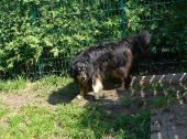 Pension_28