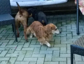 Pension_2