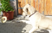 Pension_2