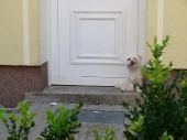 Pension_37