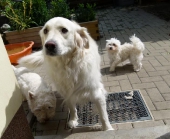 Pension_3