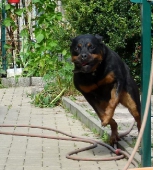 Pension_3