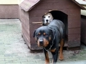 Pension_23