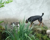 Pension_108