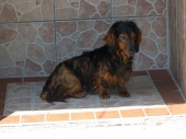 Pension_10