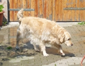 Pension_1