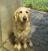 Pension_1