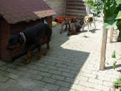 Pension_20