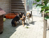 Pension_21